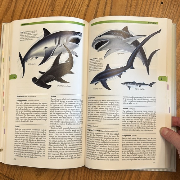 Nature in America - Reader’s Digest - Picture 6 of 8